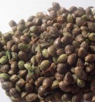 regular_seeds