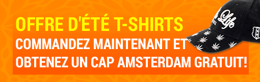 Free Amsterdam Cap with every T-shirt purchase!